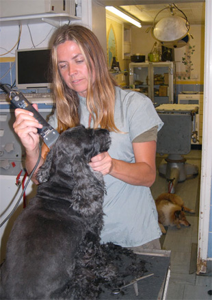 Julie at work